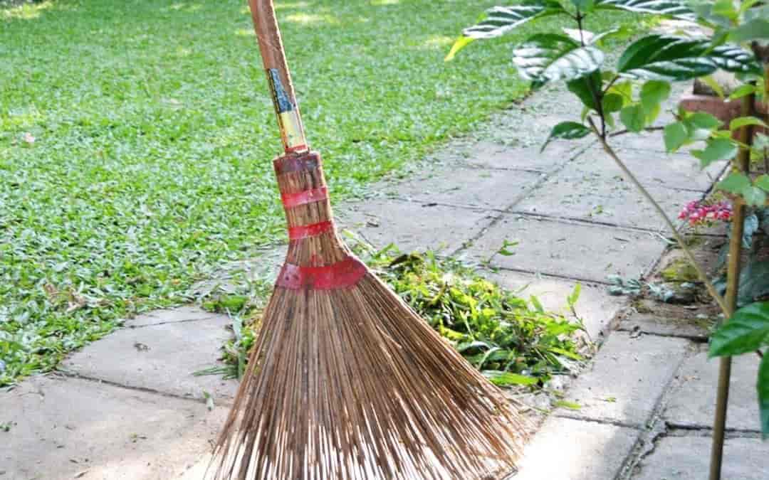 Back in the Garden: What’s Happened in the Last 6 Days”