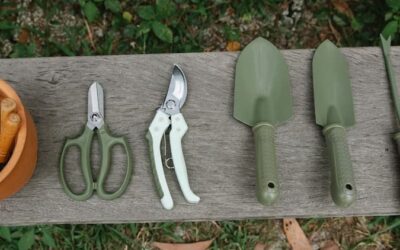 My Favorite Gardening Tools for Fig Lovers – Amazon Finds I Actually Use!