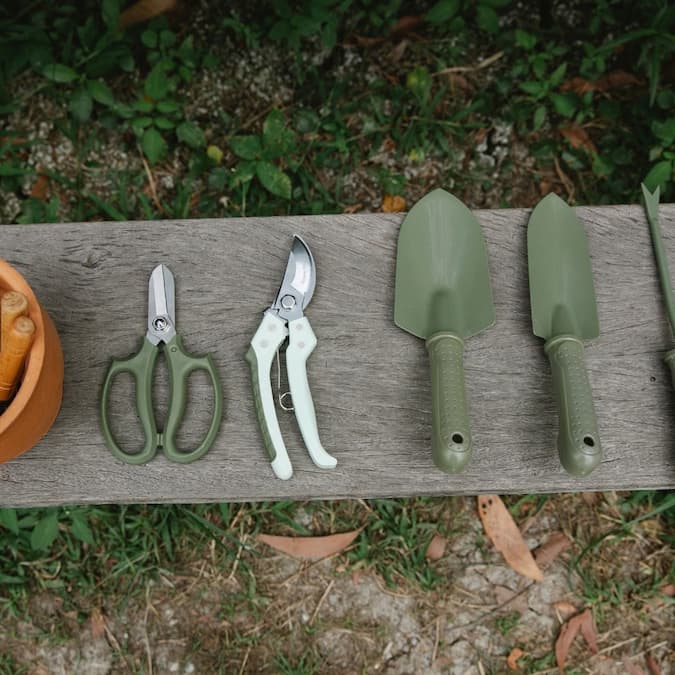 My Favorite Gardening Tools for Fig Lovers – Amazon Finds I Actually Use!