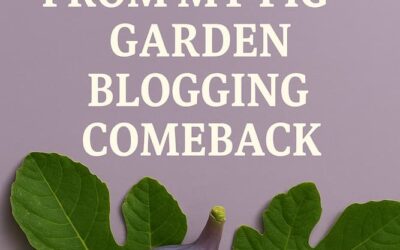 7 Powerful Lessons from My Fig Garden Blogging Comeback