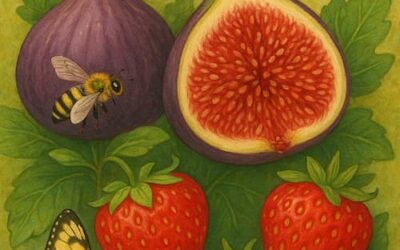 7 Best Reasons Why I Love Growing Figs & Strawberries in Pots Side by Side